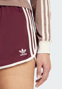 adidas Originals SPRINTER - Pantaloni scurți - maroon cream white