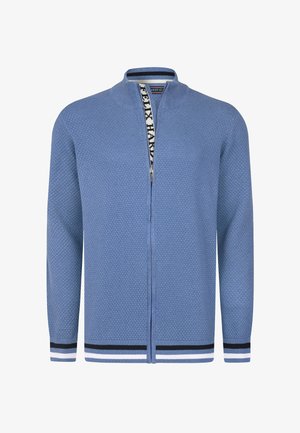 Cárdigan con cremallera de color azul claro, hecho de material de punto texturizado. Presenta un collar alto y acentos a rayas en los puños y el dobladillo.