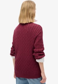 Superdry & Co Jersey de punto - red