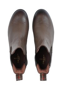 Brune læder ankelstøvler med en glat tekstur, elastiske sidepaneler og en struktureret tap. Guld mærkelogo synligt indeni.