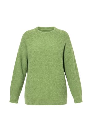Blød grøn langærmet sweater med rund halsudskæring og ribstrikkede manchetter og kant, vist på en ensfarvet hvid baggrund.