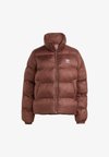 PUFFER - Chaqueta de invierno - auburn