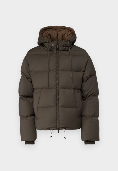 Emporio Armani GIACCA - Doudoune - fango