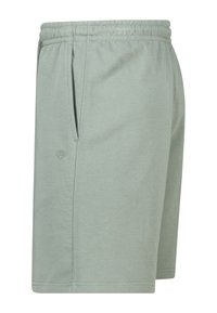 Hellgrüne Freizeitsort mit elastischem Bund, seitlichen Taschen und kleinem gesticktem Logo auf der linken Taschenpartie.