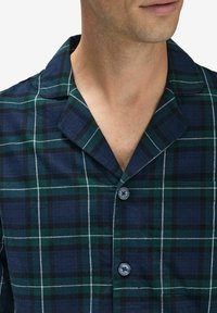 Ruudullinen paita, jossa on tummansiniset ja vihreät sävyt valkoisilla ruutulinjoilla, lovettu kaulus ja kaksi mustaa napinläpiä etuosassa.