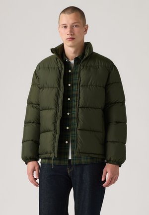 Giovane uomo che indossa un giubbotto imbottito verde scuro aperto sopra una camicia a quadri verde scuro e jeans scuri, in piedi davanti a uno sfondo semplice.