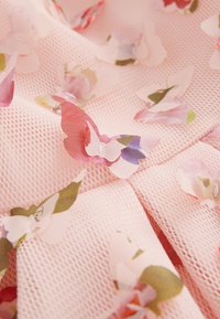 Ljusrosa nätfabric med flerfärgade fjärilstryck. Texturen är luftig och skör, med lager av utskärningar och dekorationer.