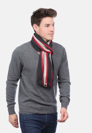 Pull gris avec une longue écharpe rayée comportant des couleurs noir, rouge et blanc. L'écharpe a des franges et est portée lâchement autour du cou.