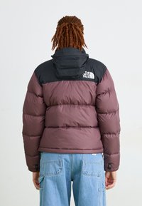 Pūkinio tipo striukė su juoda viršutine dalimi ir mauve spalvos kūnu, su siuvinėtais skyriumi ir gaubtu. "The North Face" logotipas matomas ant nugaros.
