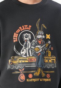 Anthropomorphic rabbit playing banjo and sitting next to dog on a train labeled "North" with text "Ride the Rails" and "Element & Timber."