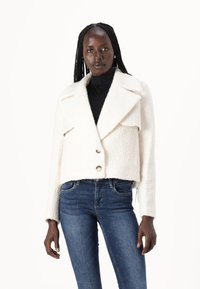 Bruuns Bazaar GAZANIABBNOVIS JACKET - Zimska jakna - white cream