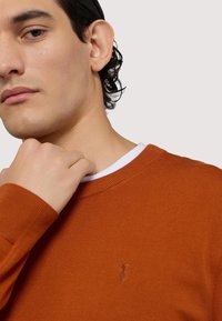 Rostorange Pullover mit geripptem Rundhalsausschnitt und weißem Kragen. Verfügt über ein kleines Logo, das auf der Brust gestickt ist. Glatte Textur.