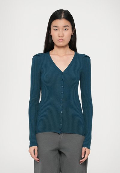 Giovane donna con lunghi capelli neri che indossa un cardigan a coste color turchese con bottoni e pantaloni grigi, in piedi contro uno sfondo bianco semplice.