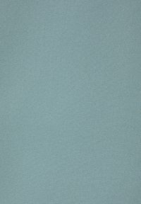 LASCANA PATCHY - Camicetta - blau