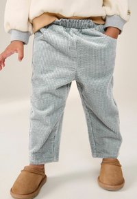 Next REGULAR FIT - Bukser - grey