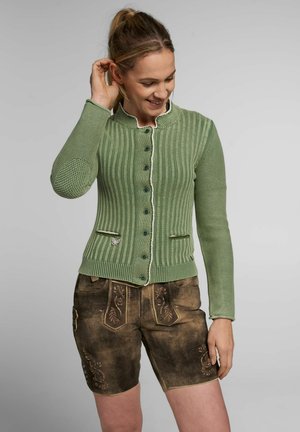 ALEXA - Strickjacke - grün