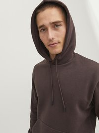 Jack & Jones JJEBRADLEY - Sweatshirt - seal brown