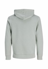 Lichtgrijze capuchontrui met lange mouwen en geribbelde manchetten, gezien vanaf de achterkant tegen een witte achtergrond.