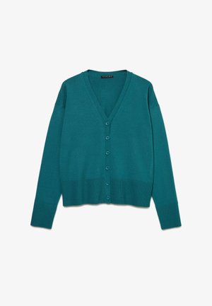 Sisley, REGULAR FIT CARDIGAN - Cardigan - green