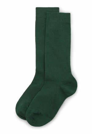 CALZEDONIA - Calcetines hasta la rodilla - green