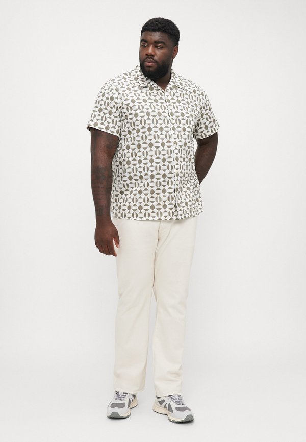 JPRBLUKEVIN RESORT  - Shirt - tea leaf4