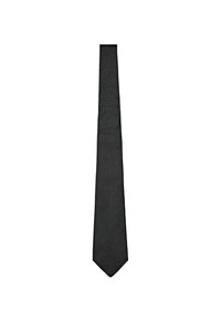 Massimo Dutti Cravate - dark green