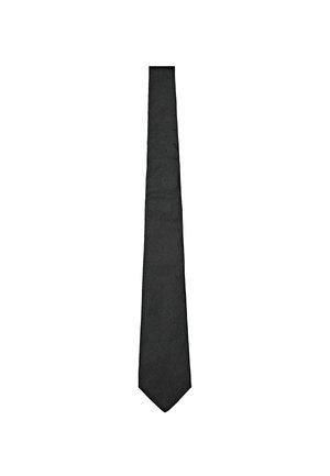 Massimo Dutti Cravate - dark green