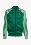 SST TT - Casaco de treino - collegiate green preloved green
