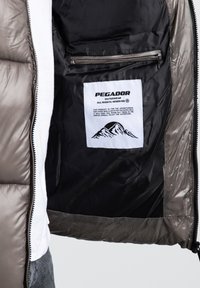 Pūkinis pilkas pūkinis švarkas viduje turi juodą pamušalą, užtraukiamą kišenę ir baltą priežiūros etiketę su kalno grafika ir logotipu.