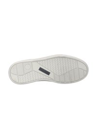 Josef Seibel Trainers - graphit