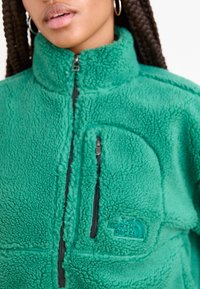 The North Face EXTREME - Felpa in pile - evergreen/black