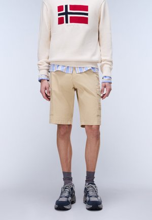 Mand iført beige cargoshorts, cremefarvet sweater med rødt og blåt flagmotiv, stribet skjorte under, grå sokker og sorte atletiske sko.
