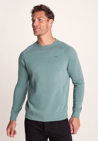 Light teal sweatshirt made of soft fabric, featuring a crewneck, ribbed cuffs, and a fitted hem. Small logo on the left chest.