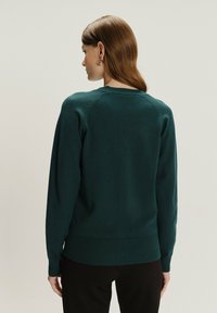 Dunkelgrüner gestrickter Pullover mit Rundhalsausschnitt, geripptem Saum und Bündchen sowie Raglanärmeln. Glatte Textur mit minimalen Details.