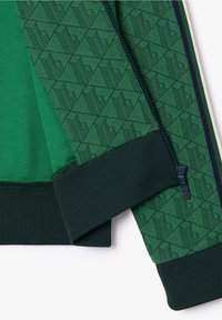 Manches de veste vertes avec motif géométrique vert foncé, poignets côtelés vert foncé et fermeture éclair vert foncé sur fond blanc.