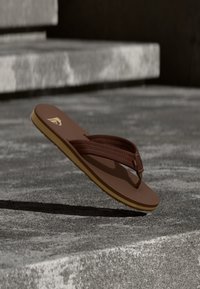 Επιλέχθηκε, brown