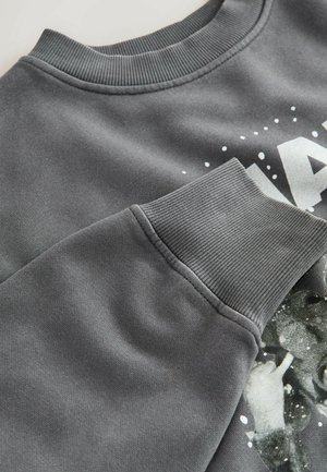 Hallhalli hall sweatshirt, millel on sooniku ja mansettide ribitud äär, sile tekstuur ja graafiline trükk; detailid hõlmavad täpikestega aktsenti.