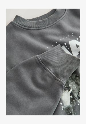 Grauer Sweatshirt mit geripptem Rundhalsausschnitt und Bündchen, glatter Textur und einem grafischen Druck; Details umfassen gesprenkelte Akzente.
