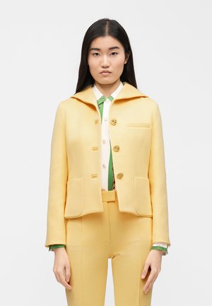 Γυναίκα που φοράει παλ ιτζελ κίτρινο σακάκι με κουμπιά πάνω από λευκό πουκάμισο με πράσινες και μπεζ λεπτομέρειες, συνοδευόμενο από παντελόνι σε ταιριαστή ίδια παλ ιτζελ κίτρινη απόχρωση.