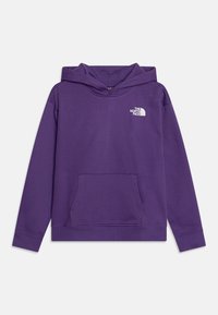 The North Face VERTICAL GRAPHIC OVERSIZED HOODIE UNISEX - Mikina s kapucňou - peak purple