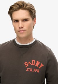 Sudadera marrón con cuello redondo y puños acanalados. Presenta un logo rojo audaz "S&Dry ATH.JPN" en la parte delantera. Textura de tela suave.