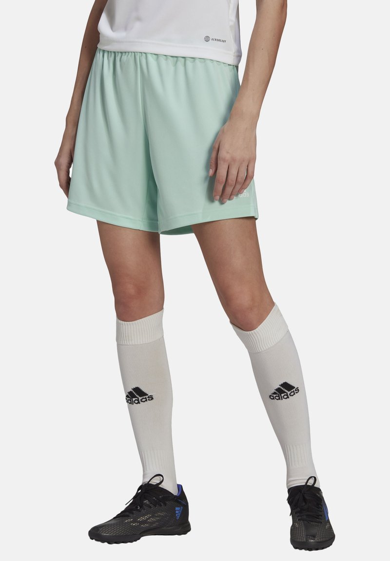 adidas Performance ENT22 SHO LW - Kurze Sporthose - tuerkisweiss