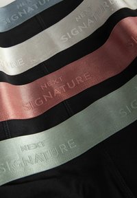 Schwarzer Stoff mit vier horizontalen Bändern in Farbverlauf: hellblau, silber, rosa und sanft grün, jeweils geprägt mit "NEXT SIGNATURE."