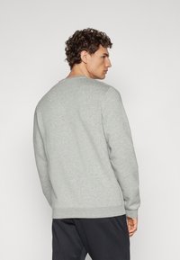 Lys grå crewneck genser med lange ermer, teksturert stoff, ribbede mansjetter og kant, vist fra baksiden.