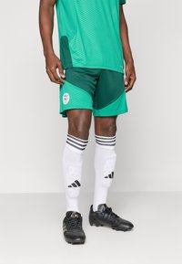 Πράσινη αθλητική φανέλα με ανάγλυφη υφή, συνδυασμένη με πράσινα ποδοσφαιρικά σορτς που φέρουν λογότυπο. Μαύρα παπούτσια και λευκές κάλτσες με μαύρες ρίγες.