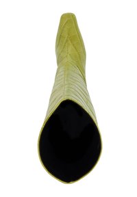 Green crocodile-embossed leather boot with a pointed toe and smooth black interior. Features a sleek, streamlined design.