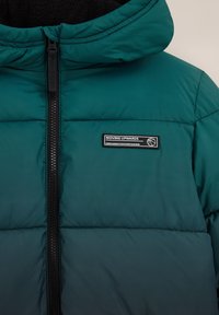 WE Fashion BLUE RIDGE - Žieminis paltas - green