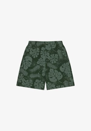 Ocean Pacific, OCEAN PACIFIC HERREN SHORTS NORMALE PASSFORM ULUWATI - Tepláky - olive