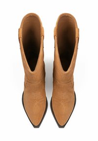 Bottes de cowboy en daim marron avec un bout pointu, broderie complexe et une semelle noire lisse. Elles présentent un tige de hauteur intermédiaire.
