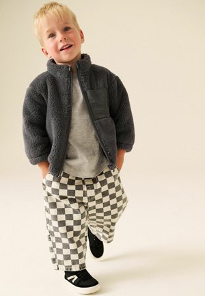 Next, REGULAR FIT - ZIP THRU FLEECE - Fleecejakke - charcoal grey
